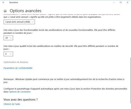 Windows Update paramètre de livraison (4)