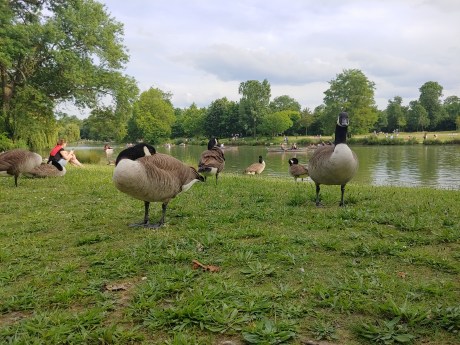 20180603_184348_HDR
