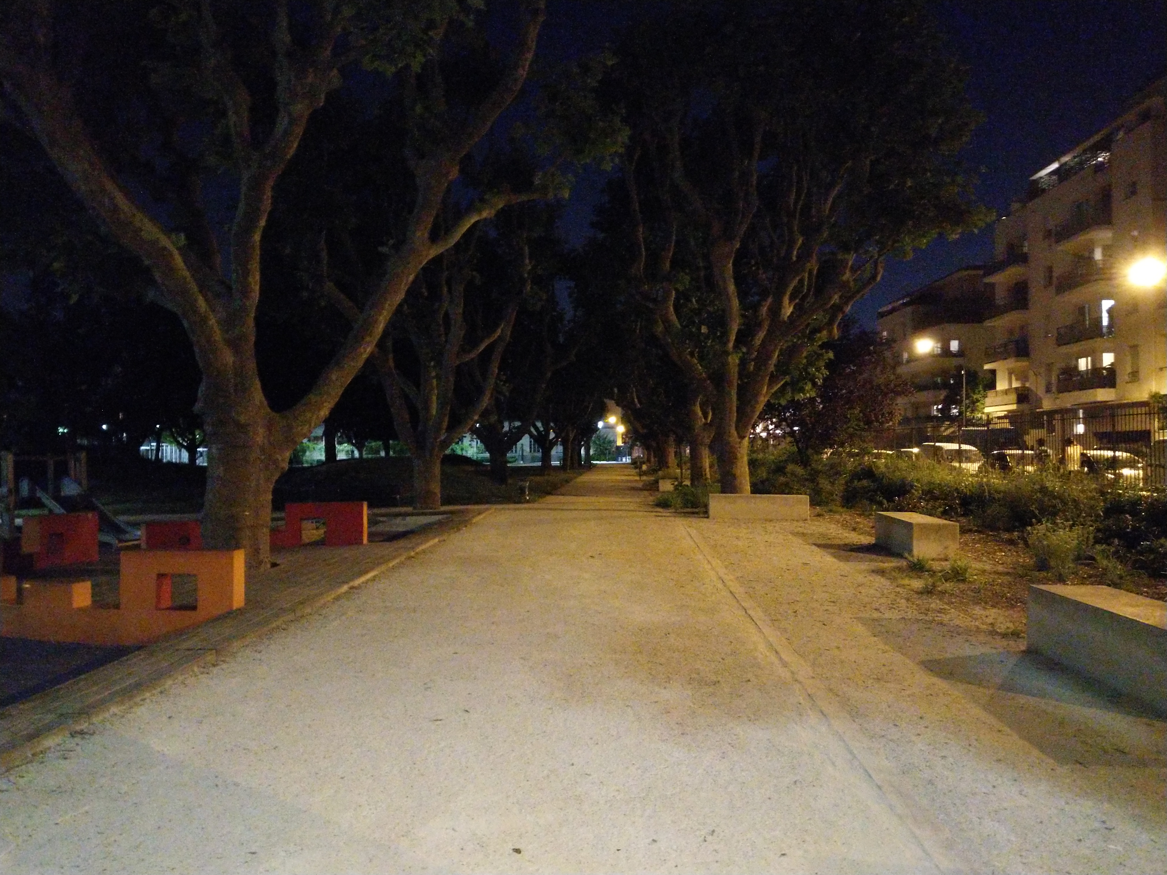 parc nuit