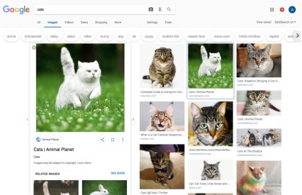 Google Images interace