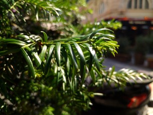 IMG_20180712_1236273
