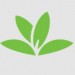 PlantNet – Pl@ntNet Identification Plante