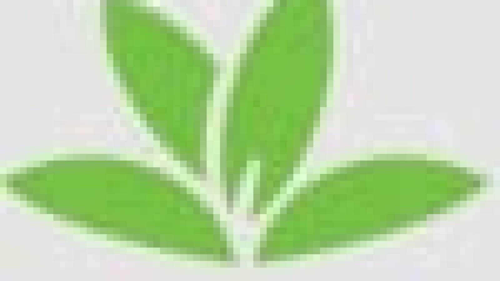 mister plants Brass, Copper and Nickel Plant Misters