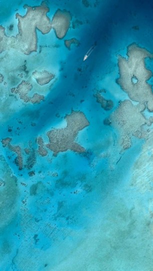 fiji_preview