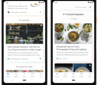 google discover