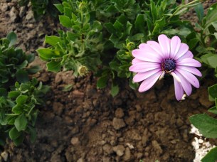 IMG_20180912_122553