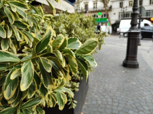 IMG_20180913_143609