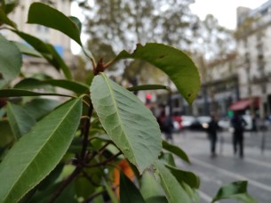 IMG_20180913_143642