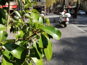 IMG_20180919_151526
