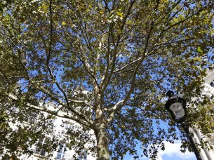 IMG_20180919_151646