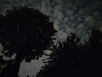 2018-10-25 19.44.07