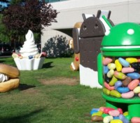 chrome-jelly-bean