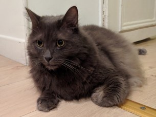 google-pixel-3-xl-sample- (29)