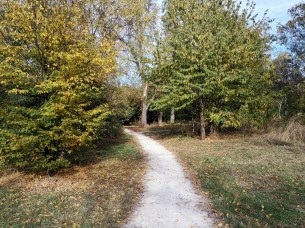IMG_20181013_160551