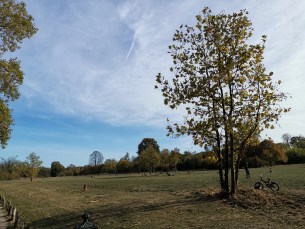 IMG_20181013_161053