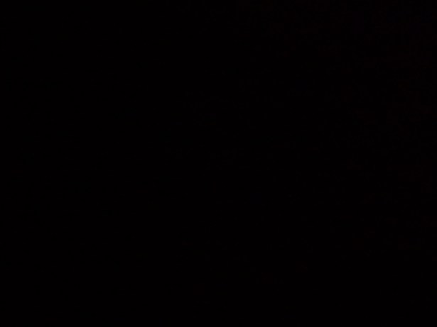 google-pixel-3-test-photo (18)