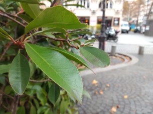 IMG_20181107_142637173