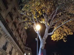 IMG_20181107_213429