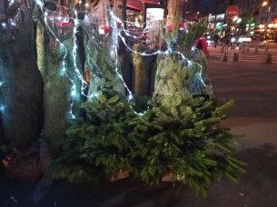 IMG_20181129_172758883