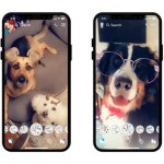 Essayez les nouveaux filtres pour chiens sur Snapchat