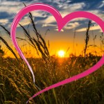 L’app de la semaine : j’ai tout plaqué pour créer ma ferme et chercher l’amour dans le pré L’app de la semaine : j’ai tout plaqué pour créer ma ferme et chercher l’amour dans le pré