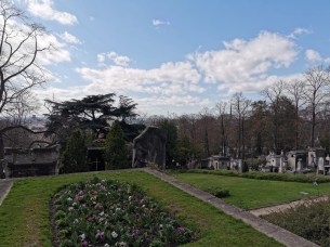 IMG_20190316_144000