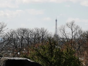 IMG_20190316_144011