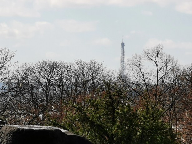 IMG_20190316_144011