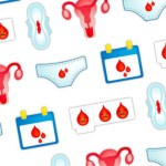 L’app de la semaine : cette application m’accompagne à chaque cycle menstruel