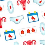 L’app de la semaine : cette application m’accompagne à chaque cycle menstruel L’app de la semaine : cette application m’accompagne à chaque cycle menstruel