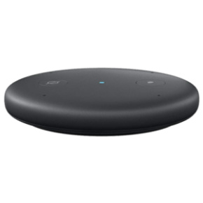 Amazon Echo Input