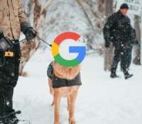Police Google