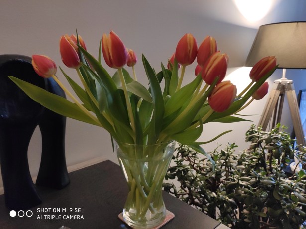 IMG_20190413_203321