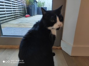 IMG_20190413_203356_1