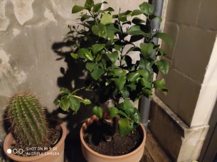 IMG_20190413_235717_1