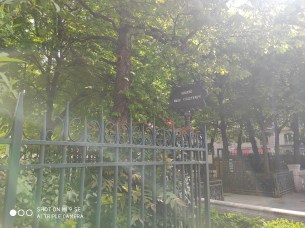 IMG_20190415_143502