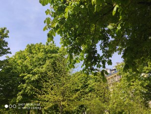 IMG_20190415_143816