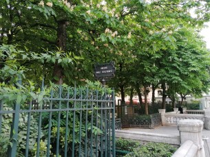 IMG_20190430_100525