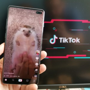 L’app de la semaine : TikTok me captive, même si je suis trentenaire