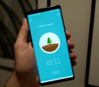 L'application Forest pour rester concentré