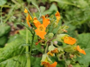 IMG_20190510_155608