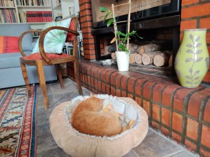 IMG_20190526_103653