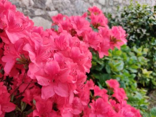 IMG_20190526_191834