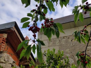IMG_20190526_191954