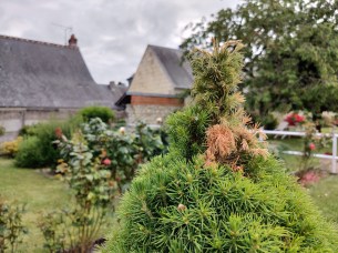 IMG_20190526_193009