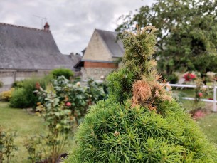 IMG_20190526_193009