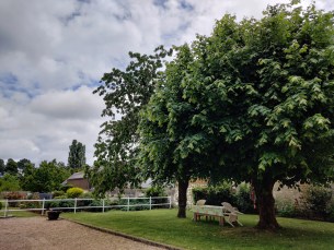 IMG_20190527_140528