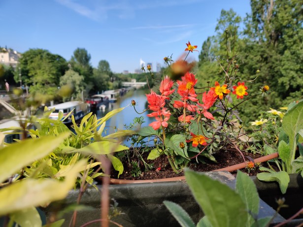 IMG_20190531_085954(1)