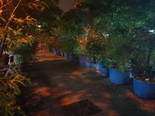 Oppo Reno photos nuit (4)