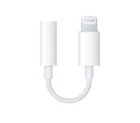 Adaptateur Apple